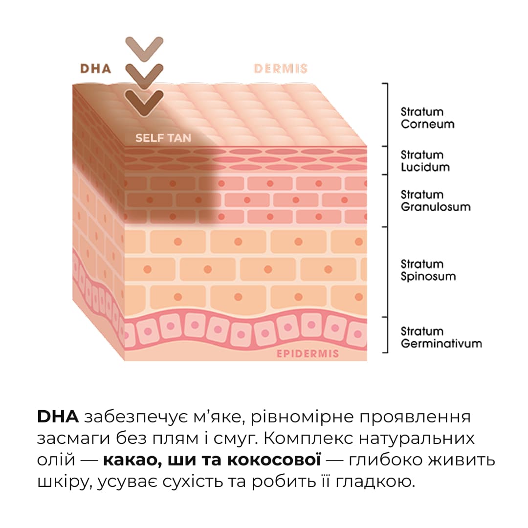 Комплекс для рівномірної засмаги та тонусу шкіри тіла thumbnail