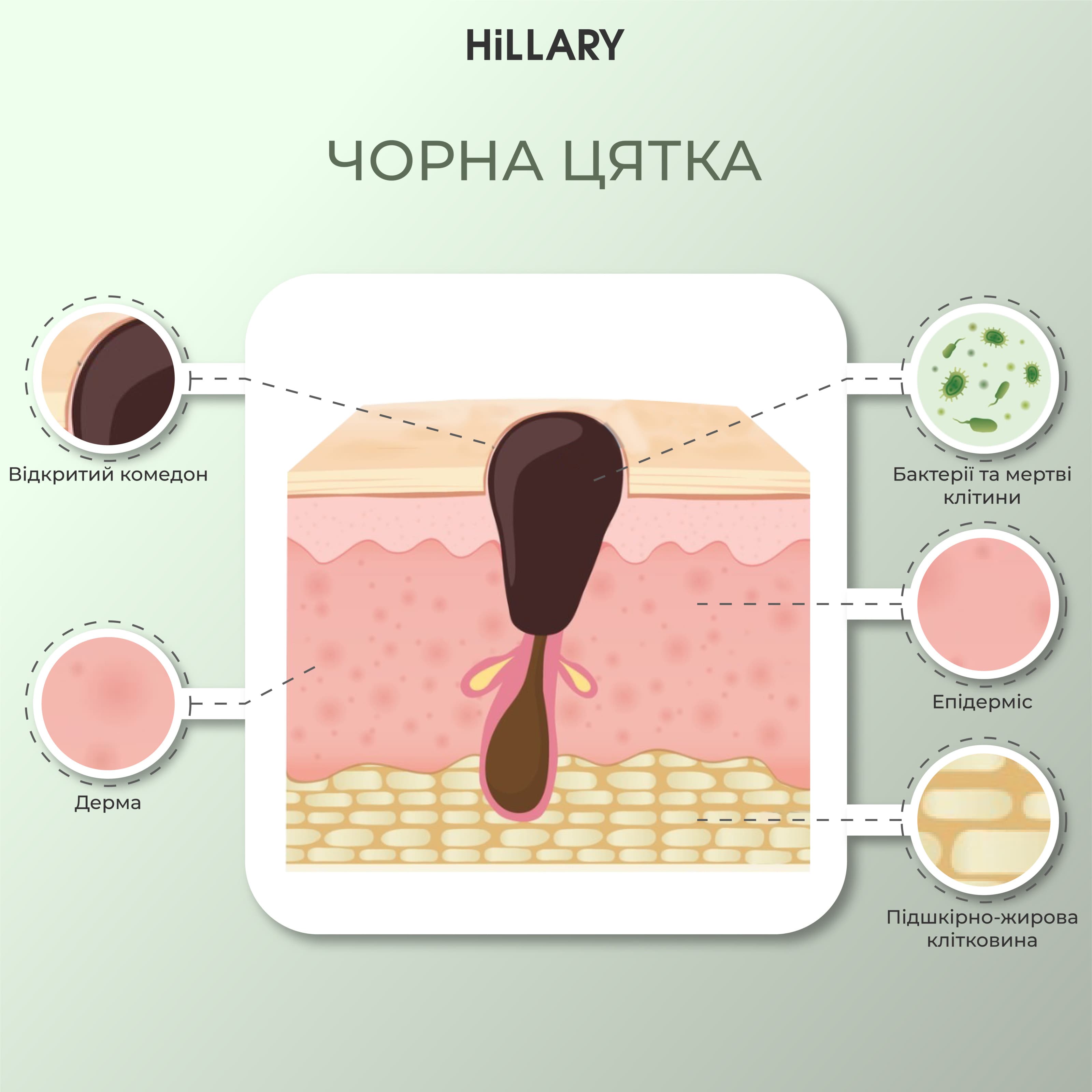 Набір для догляду за обличчям для чоловіків: очищення та живлення thumbnail