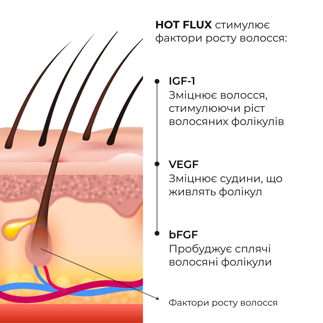 Набір для глибокого очищення та відновлення волосся і шкіри голови з термозахистом thumbnail