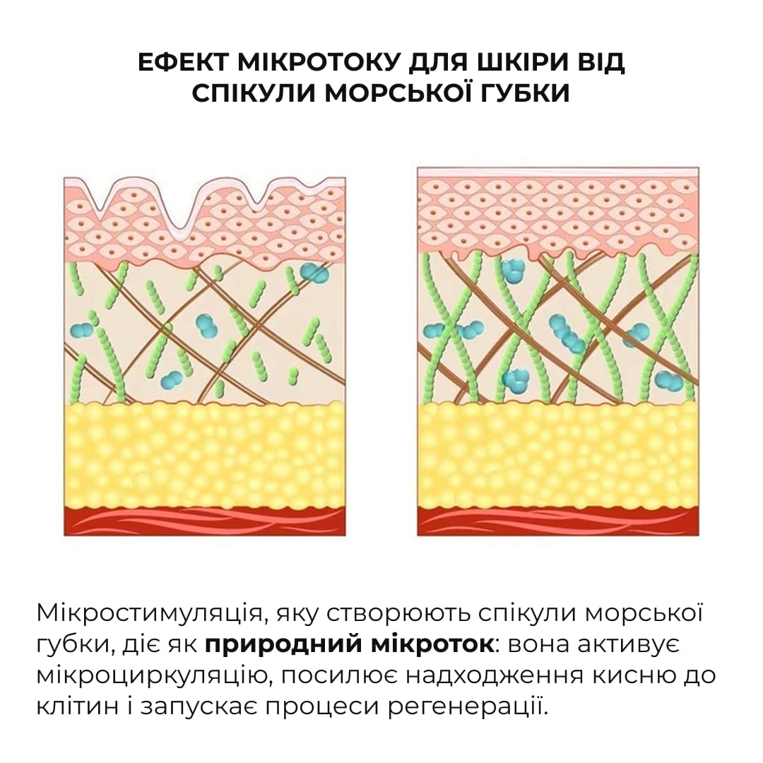 Комплекс глиняних масок для детоксикації та відновлення пружності шкіри thumbnail