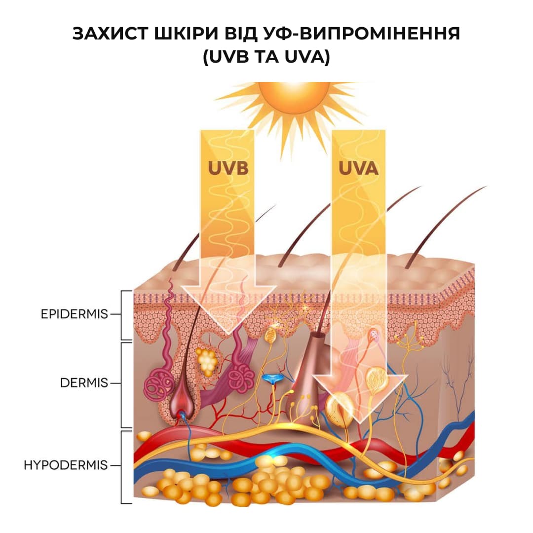 Сонцезахисний набір від фотостаріння для обличчя та тіла SPF 50+ (Hillary) thumbnail